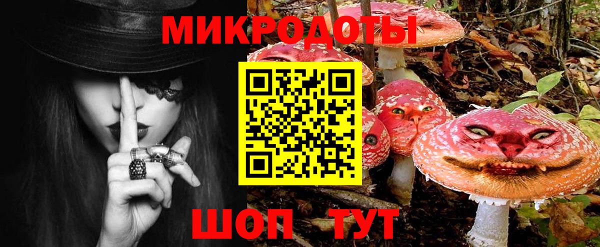 Псилоцибиновые грибы Cubensis  Вход с VPN  Зеленокумск 